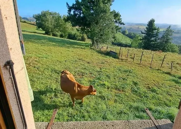 Spacieuse Avec Piscine A Bas-segala Villa